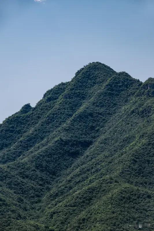 重庆，宛如一幅灵动的山水画卷，山峦叠翠间生态富民，立体的城市风貌中高楼与桥梁纵横
