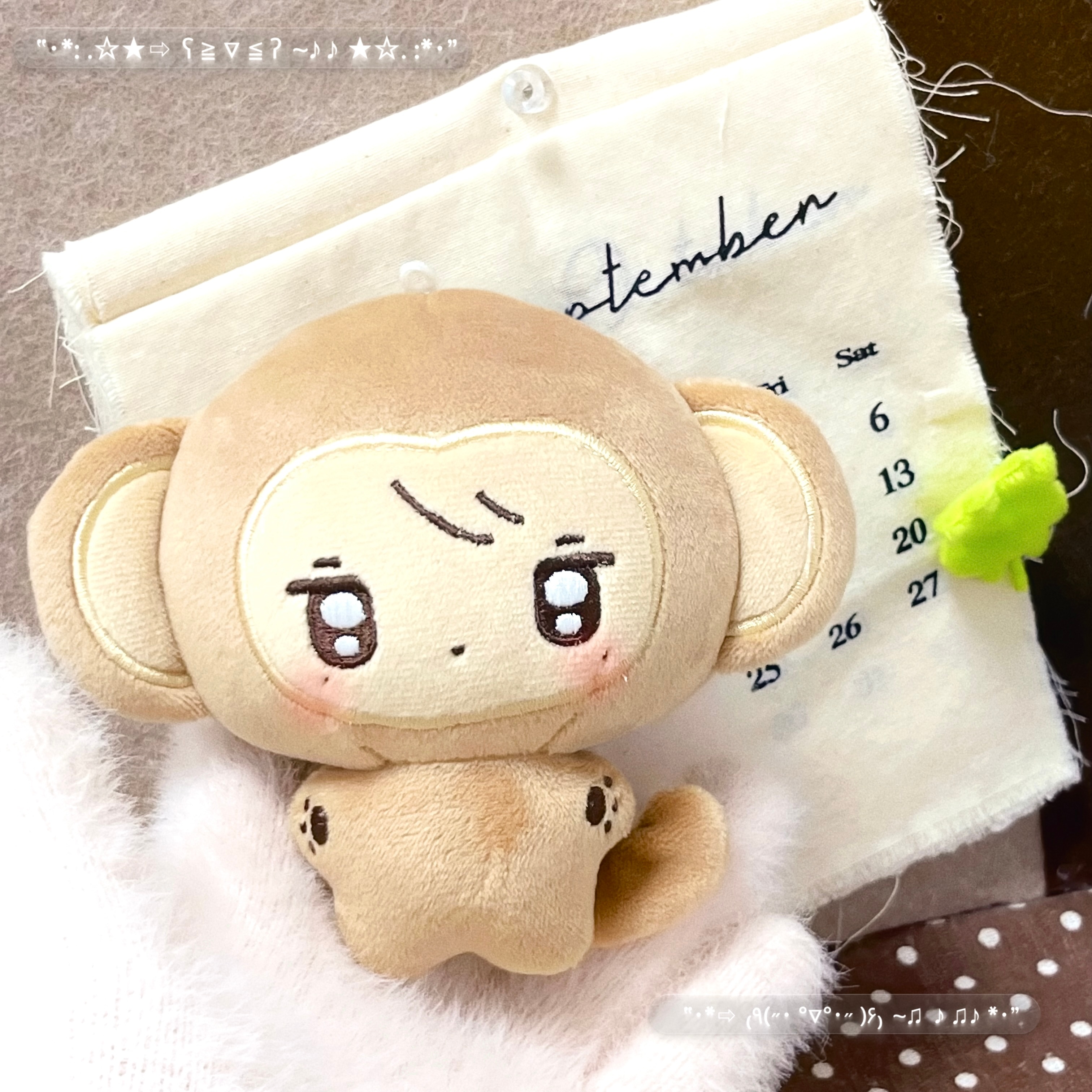 ♡₊˚小猴纸 