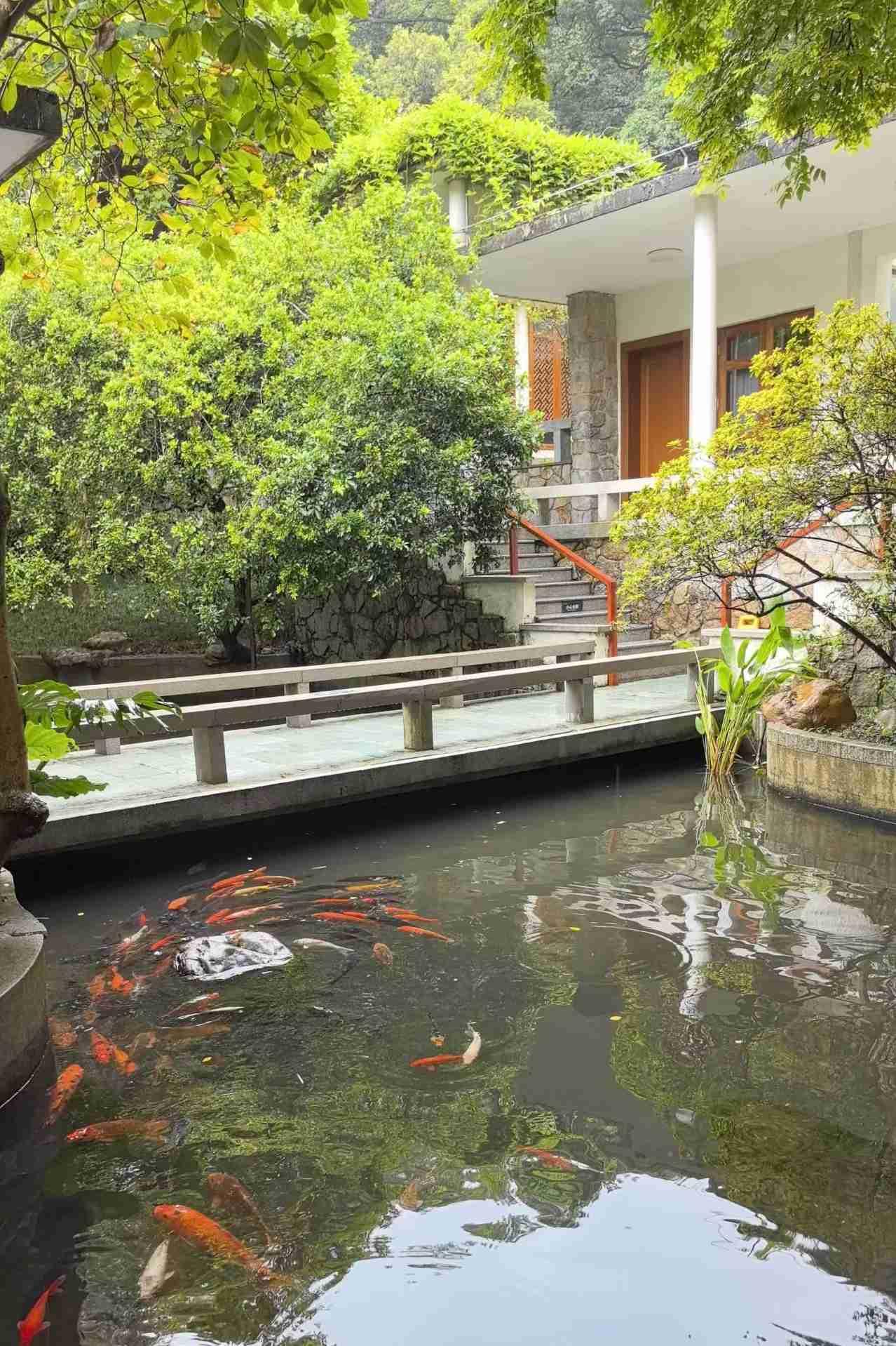 在白云山入住山顶的山庄旅舍
带定位晒今日生活
我的今日状态：😁轻松愉快
我这里