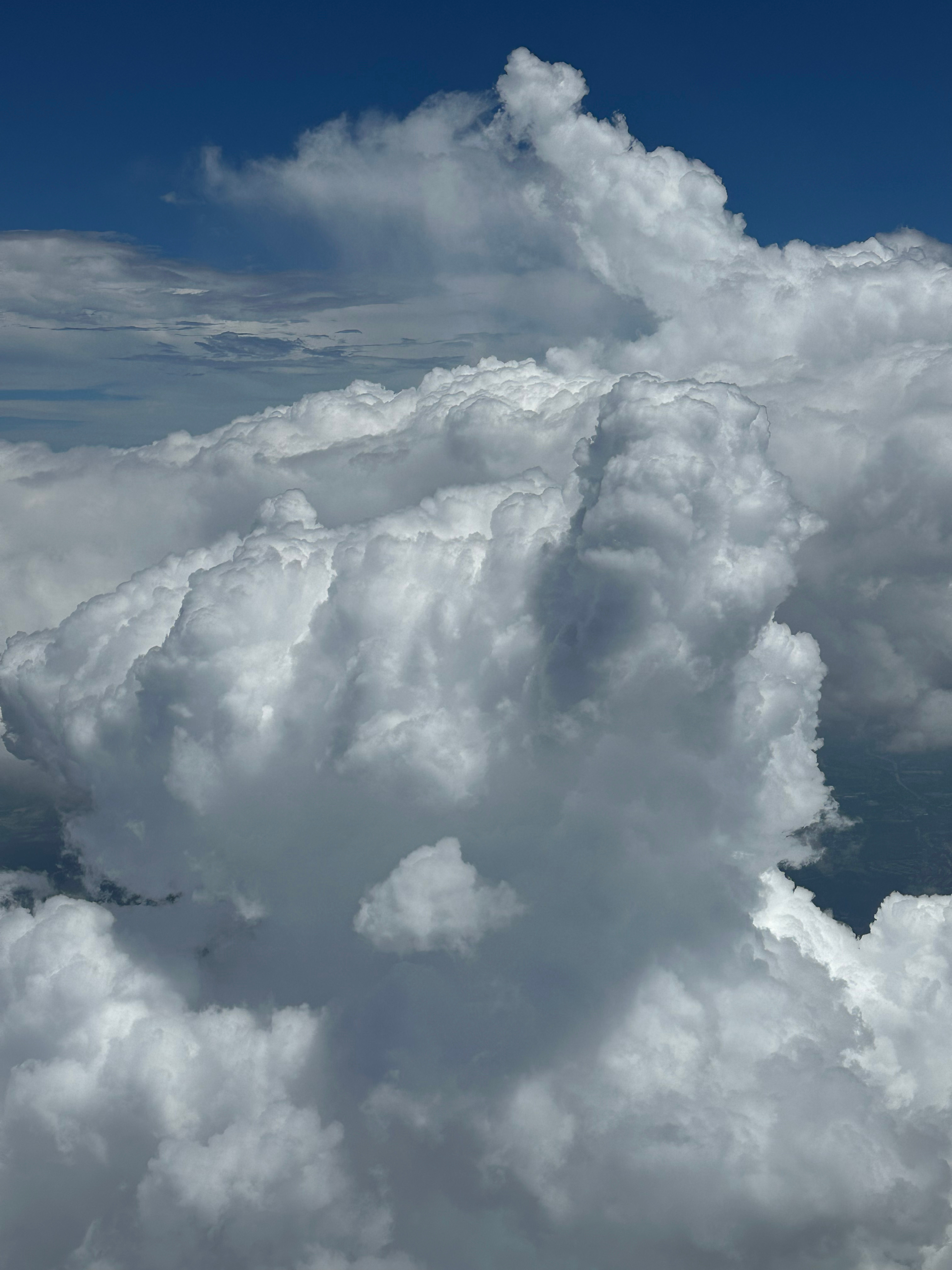 看我1(72)0遍☁️🐑 