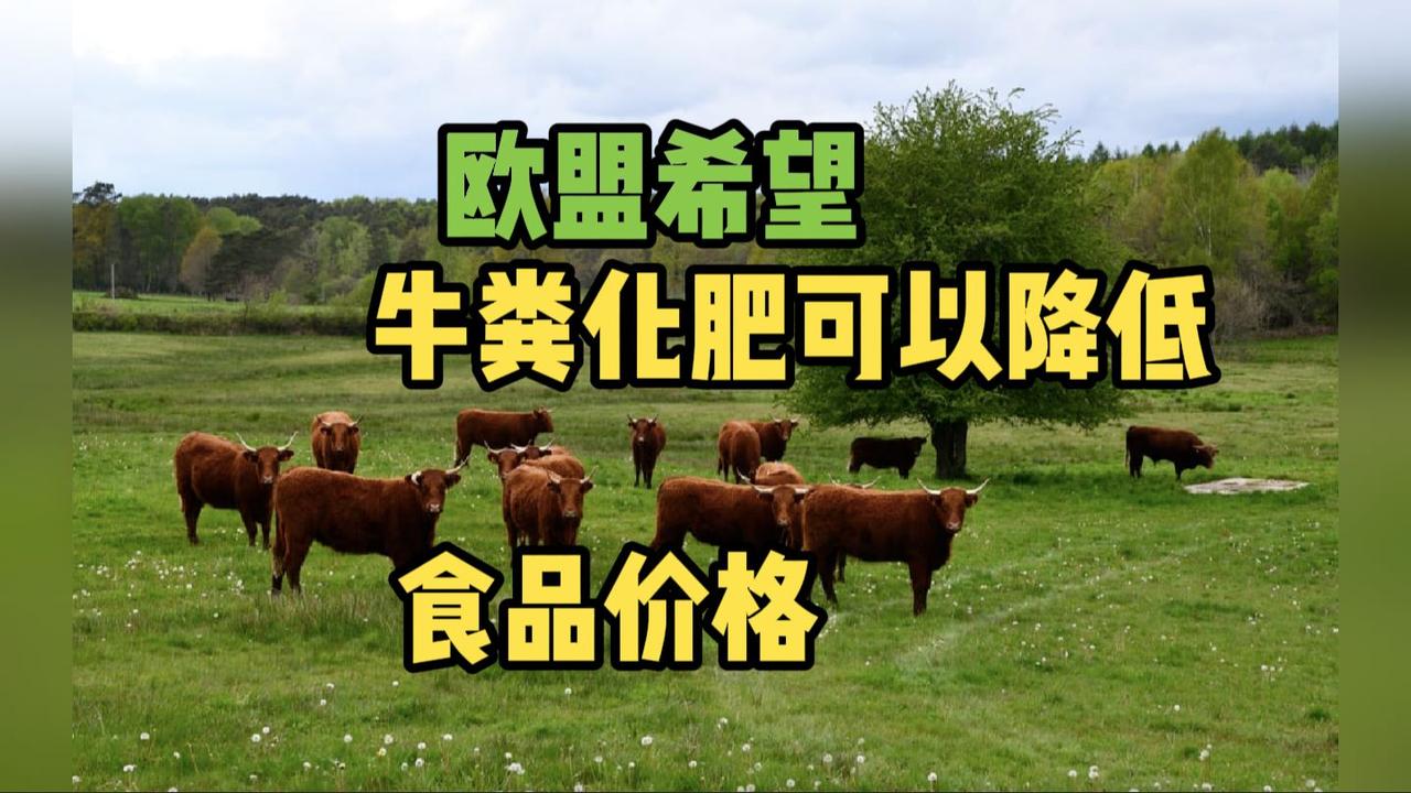 欧盟开始病急乱投医了，他们希望可以提取牛粪中的氮，以此替代来自霍尔木兹海峡封禁后
