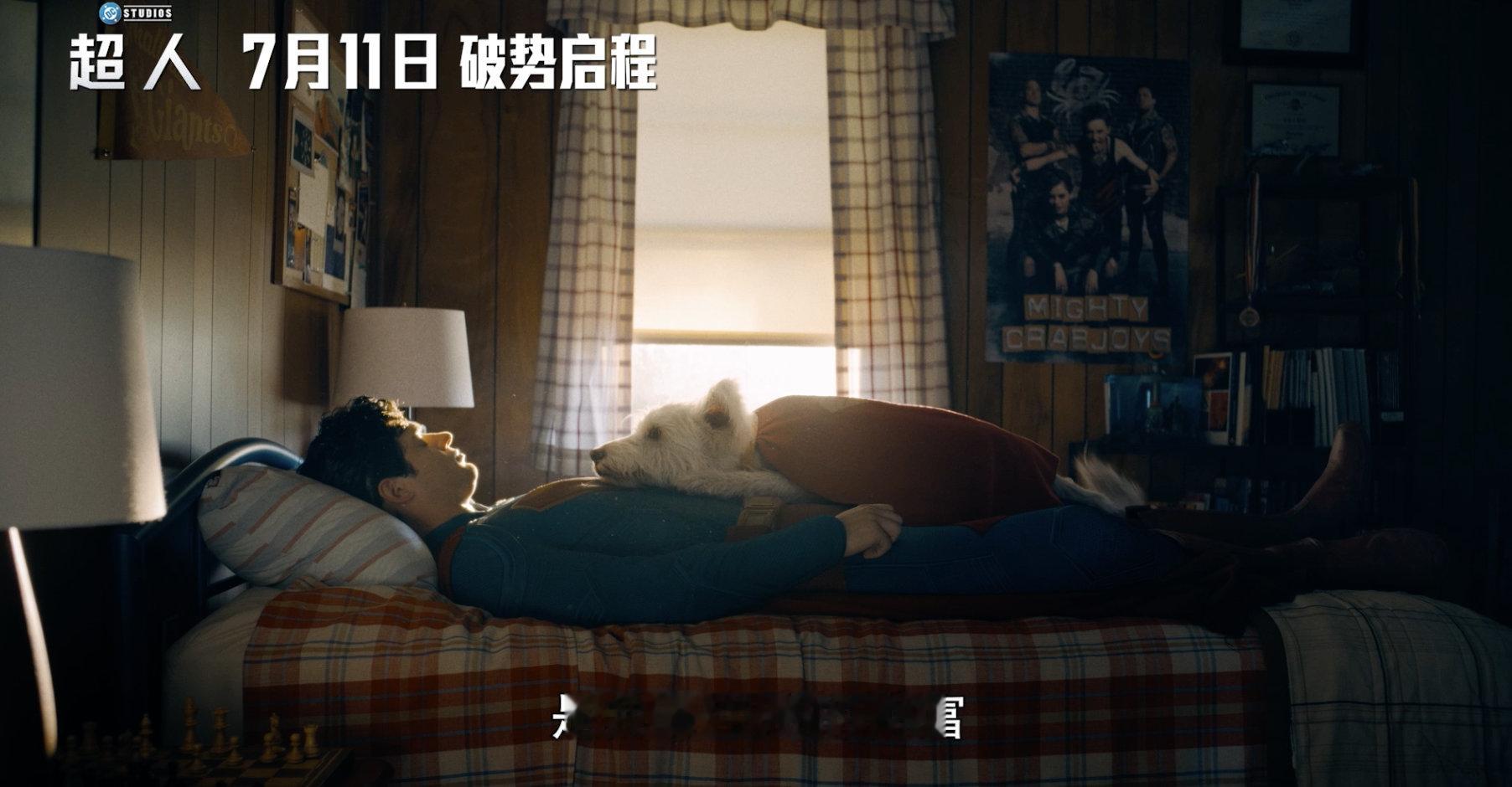 超人中国独家预告 超狗小氪拆家日常太治愈了，歪头卖萌谁顶得住，转头看到超人一人迎