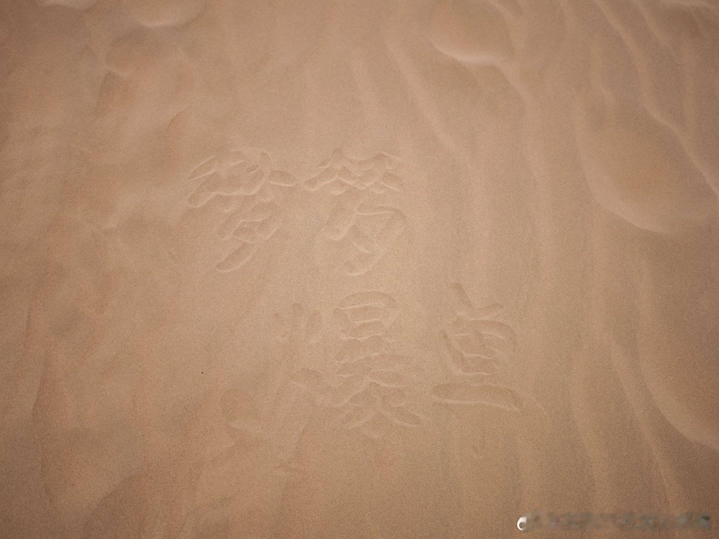 来自沙漠里的爆单祝福。苟富贵，不相忘！ 