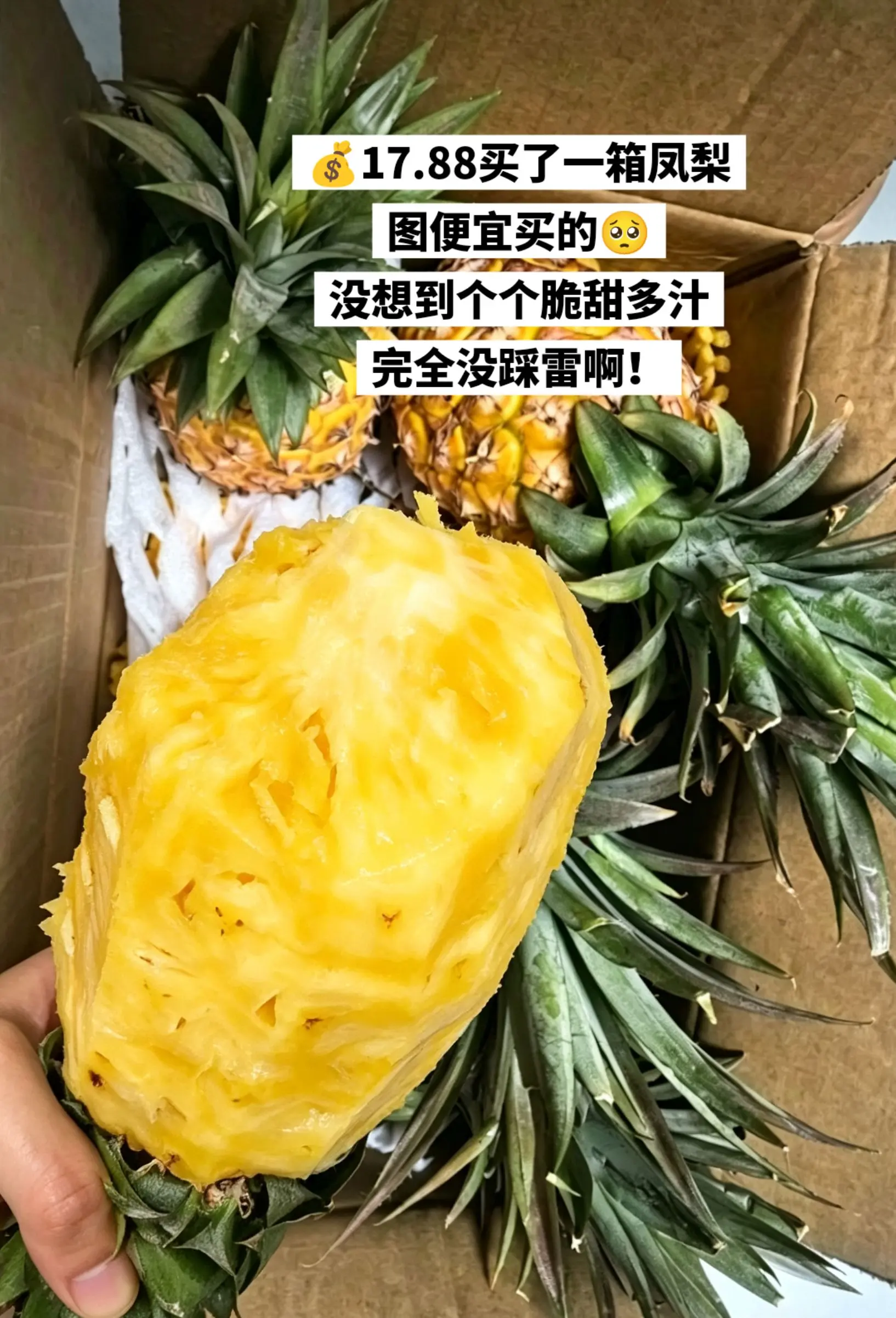 这价到手整整一大箱，完全没踩雷啊😦。