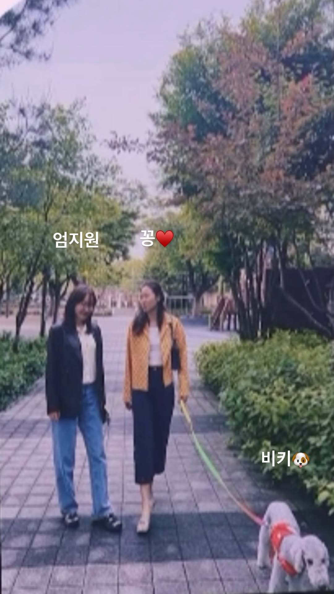 孔晓振时间管理大师 上次拍油管竟然还跟拇指见了一面 拇指腿受伤之后好长时间没见了
