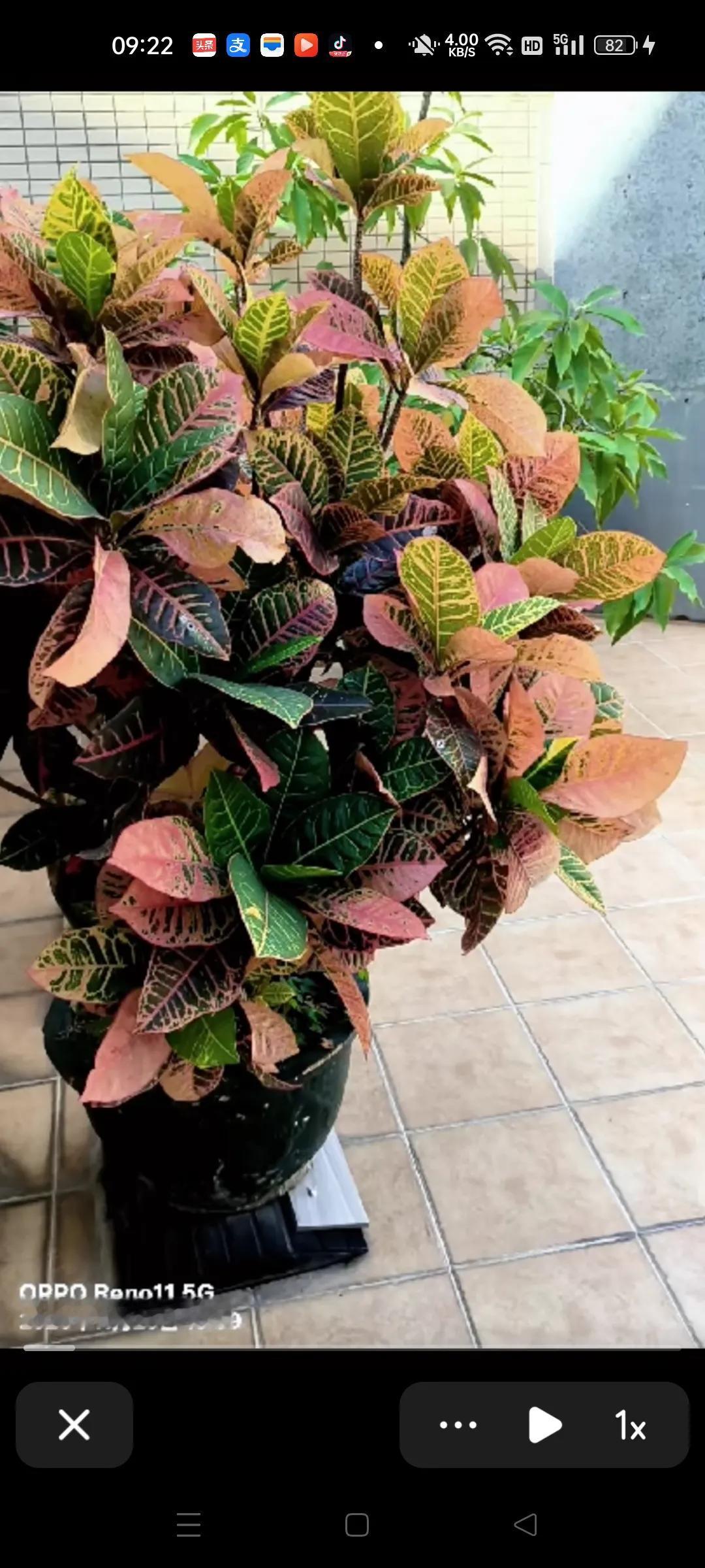 大清早看到一个趣老头，一个怪老头的一段话[笑哭]
做梦都想不到
以前偷东西的是人