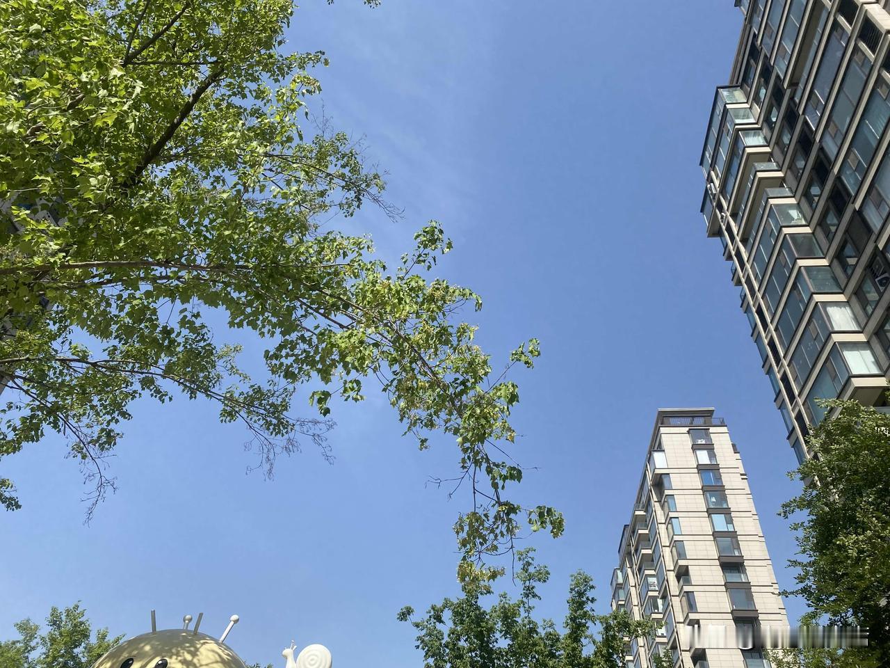 晒图笔记大赛现代都市中的绿意盎然，感受自然与建筑的和谐共存。