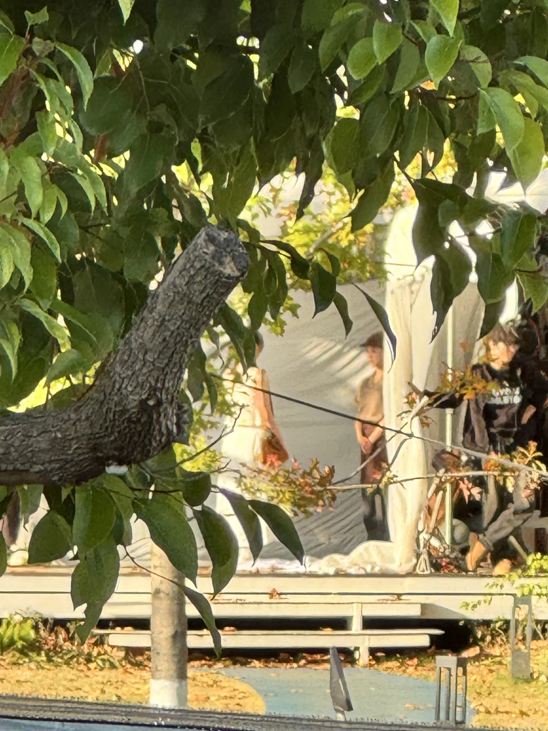 南京金陵style | 距离虞书欣最近的一次