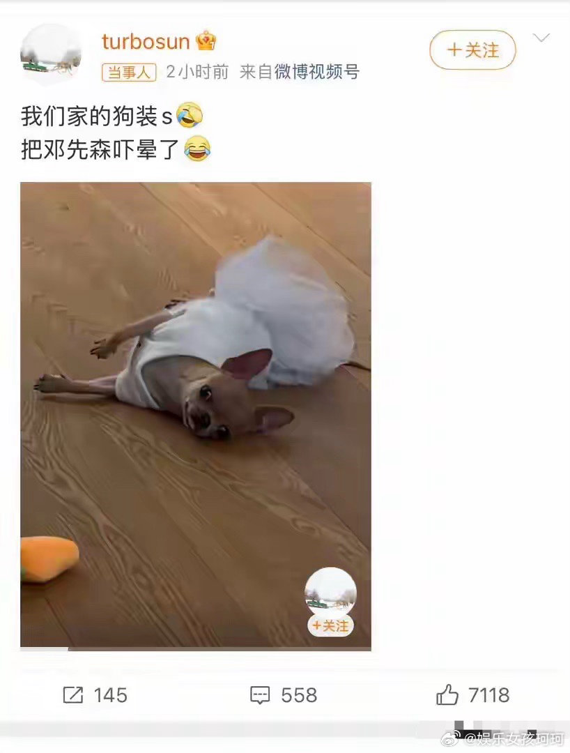 孙俪 我们家的狗装死把邓超吓晕了孙俪在微博上晒狗狗装死视频，称狗狗装死，把邓超给