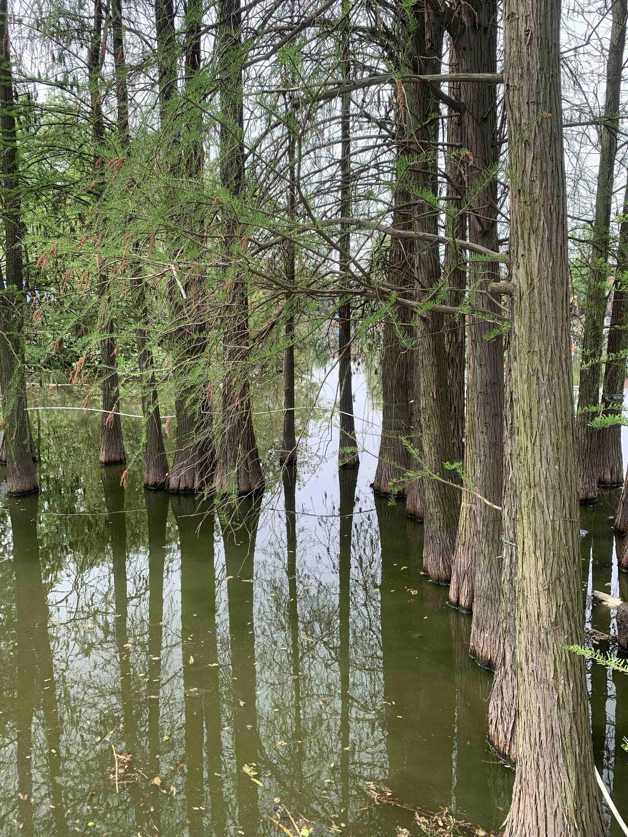 唯有夫妻双方都肩负起责任，
婚姻才称得上幸福美满。
倘若一方懒惰散漫，
甚至陷入
