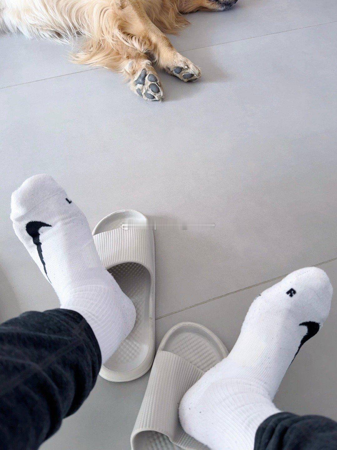 [送福]🐉[烟花]红🧦🚫 ​​​