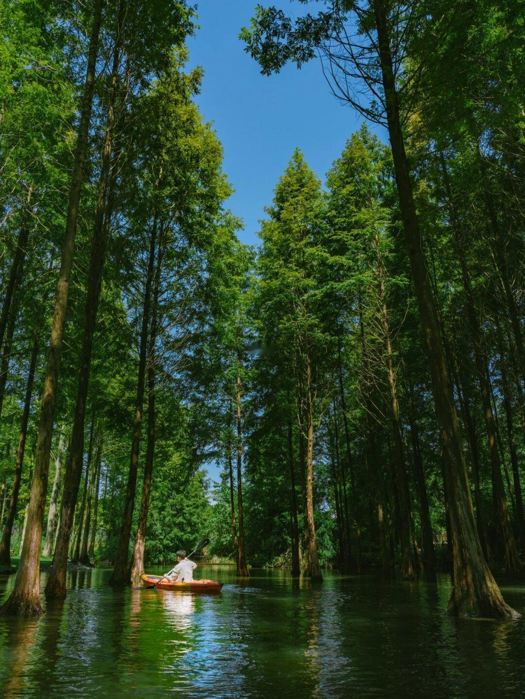 划船玩水|隐世庭院里藏着的🌳水上森林露营