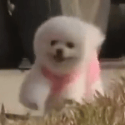 疯狂抠图中！！！ 