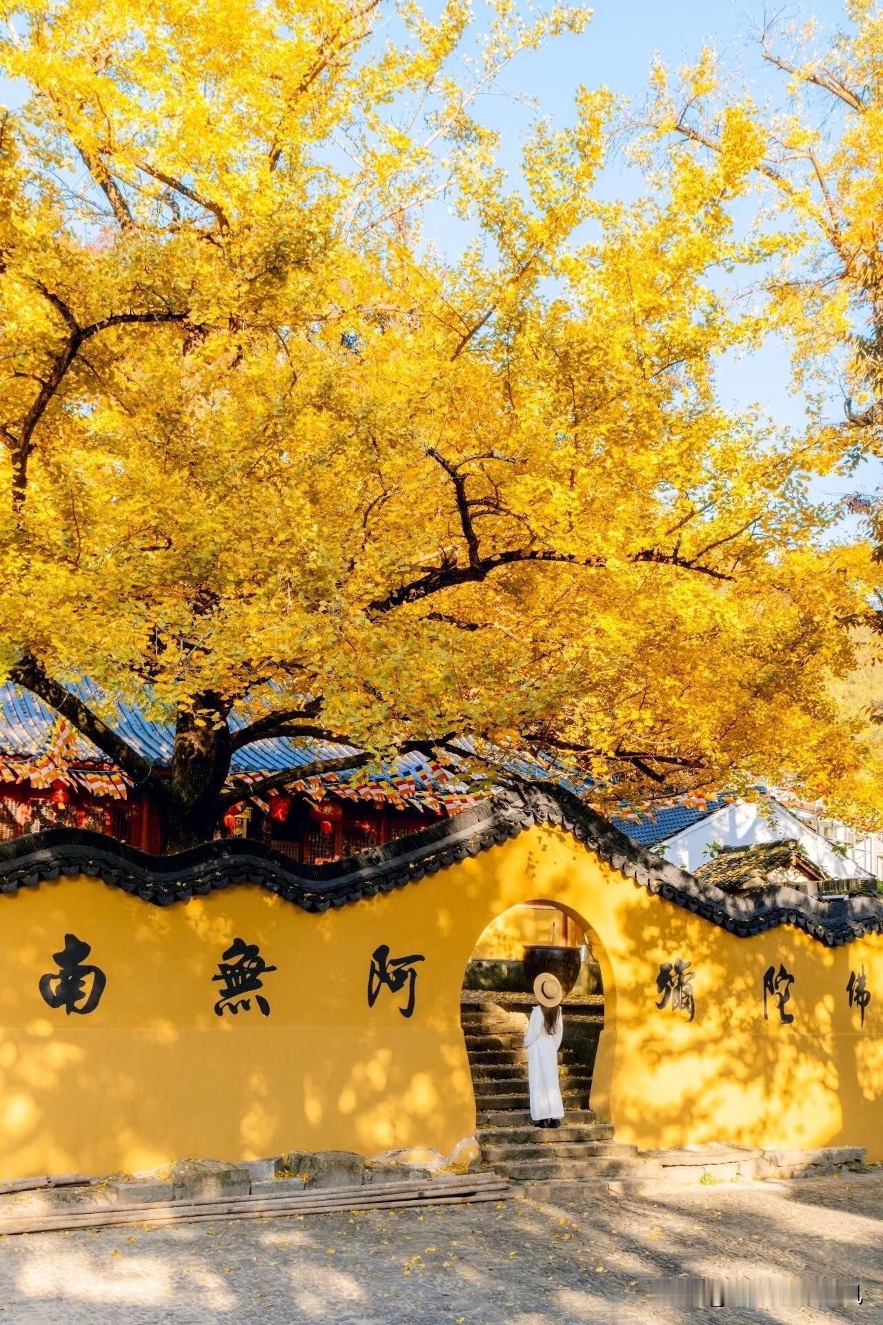 你认为善良和软弱有关联吗?
我觉得善良和软弱半毛钱关系都没有！善良是心里装着别人