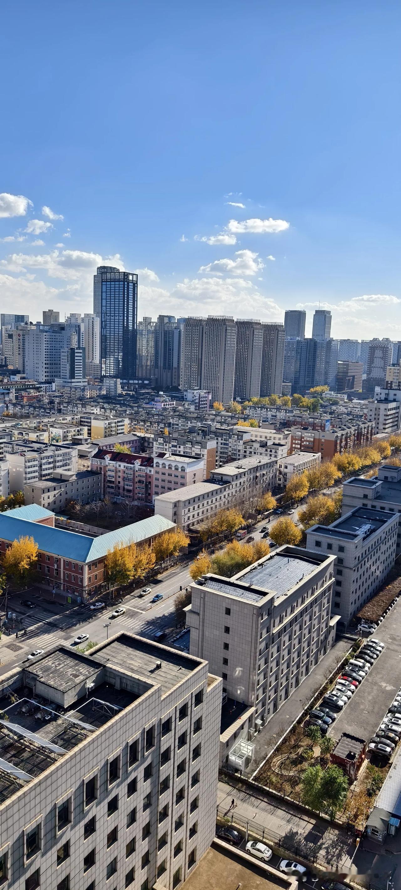 城市街拍    沈阳