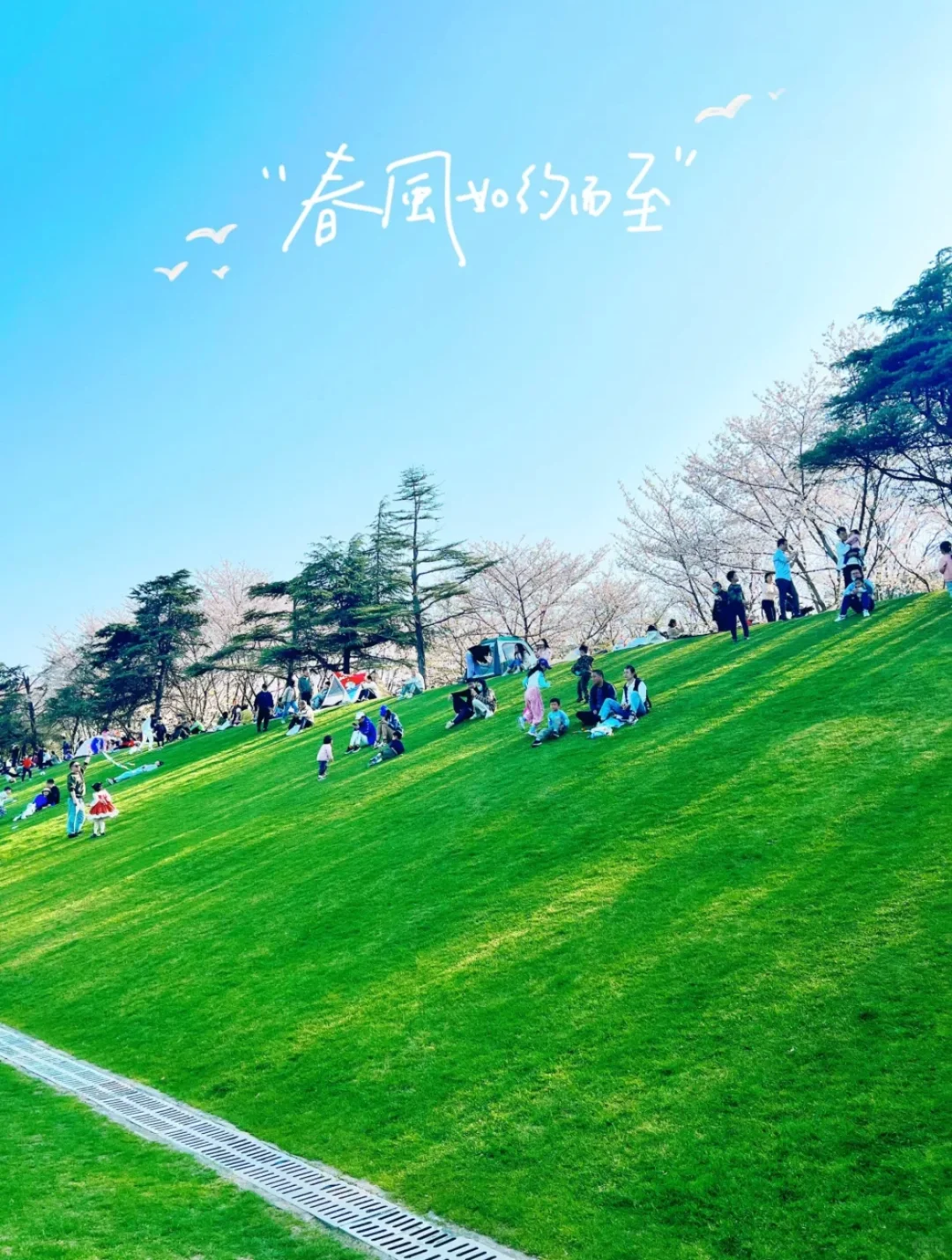 试过了，公园20分钟效应是真的！