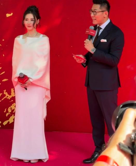 港娱第一美张柏芝，内娱第一美刘亦菲，两大顶美骨相皮相都完美，太养眼了

虽然张柏