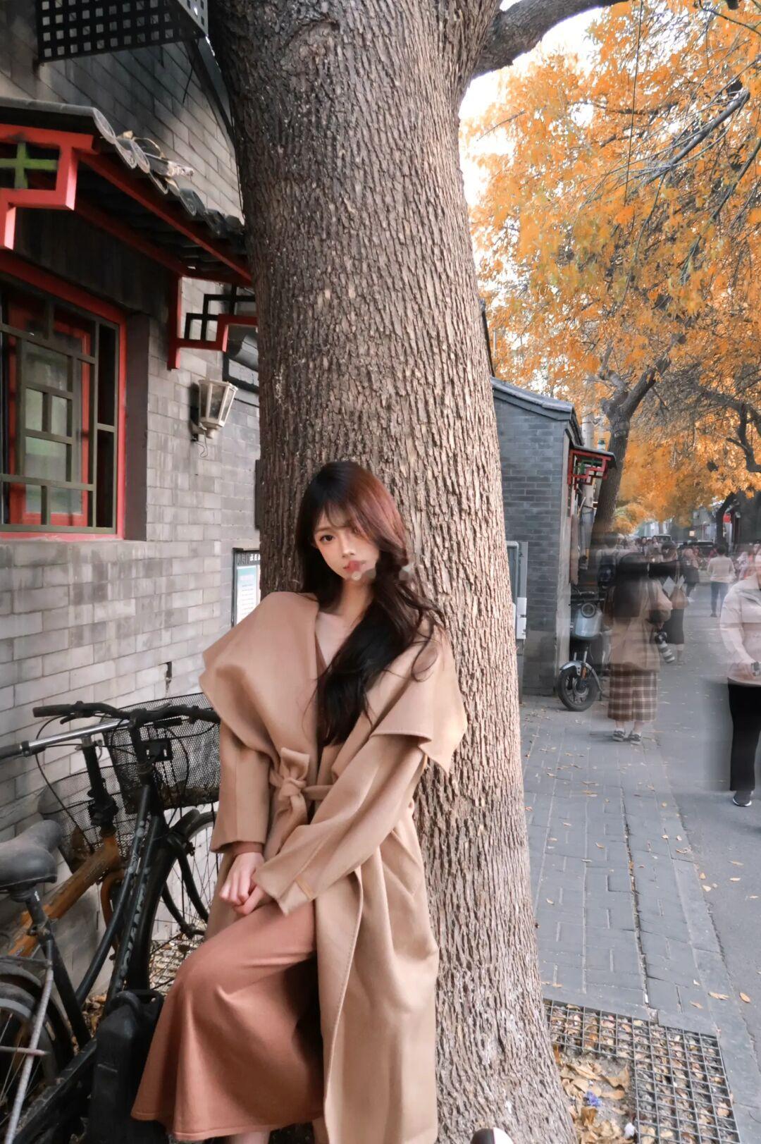 北平之秋🍂