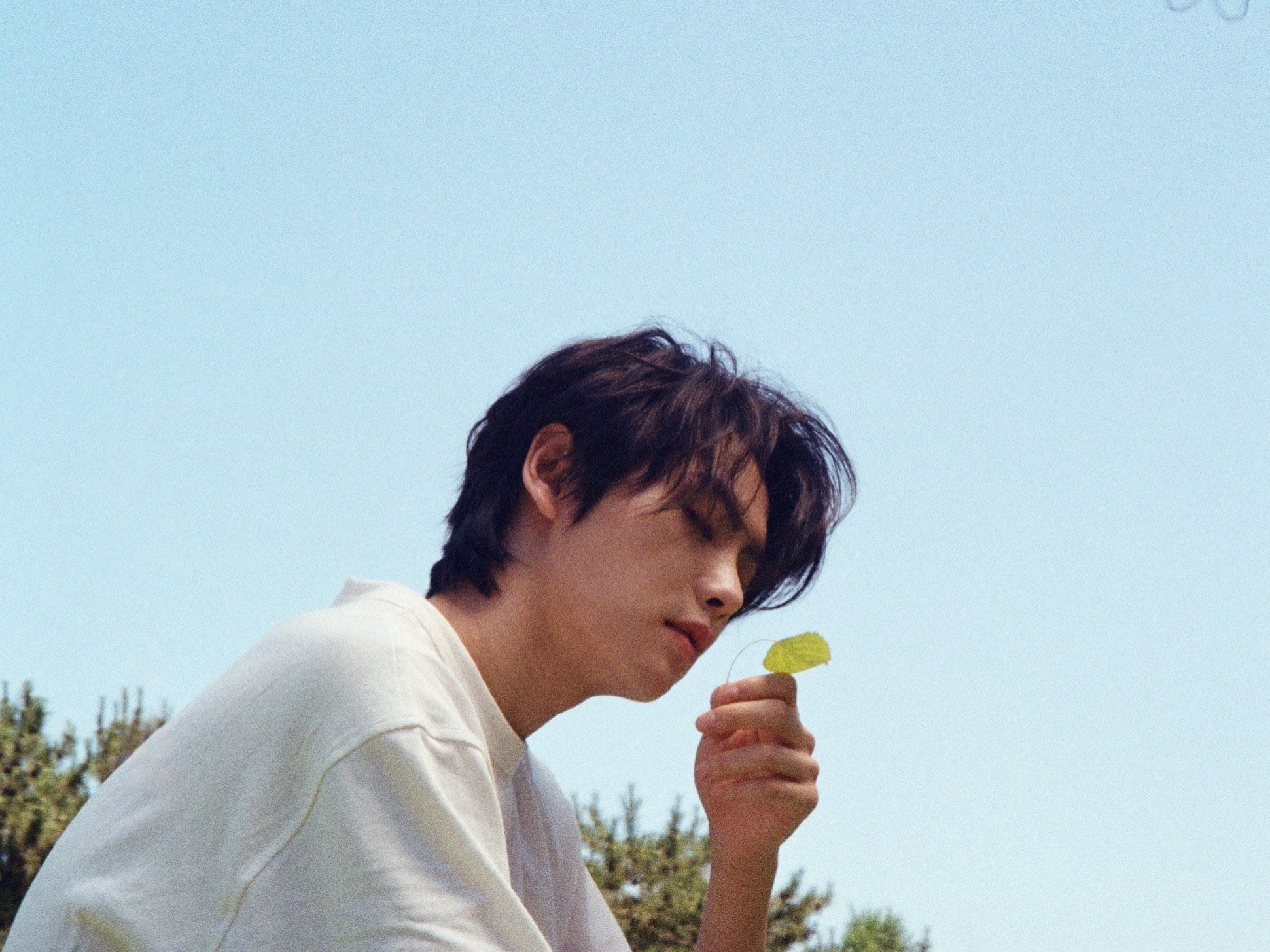 肖宇梁 充满夏天气息的卷毛鱼粮🍃 ​​​