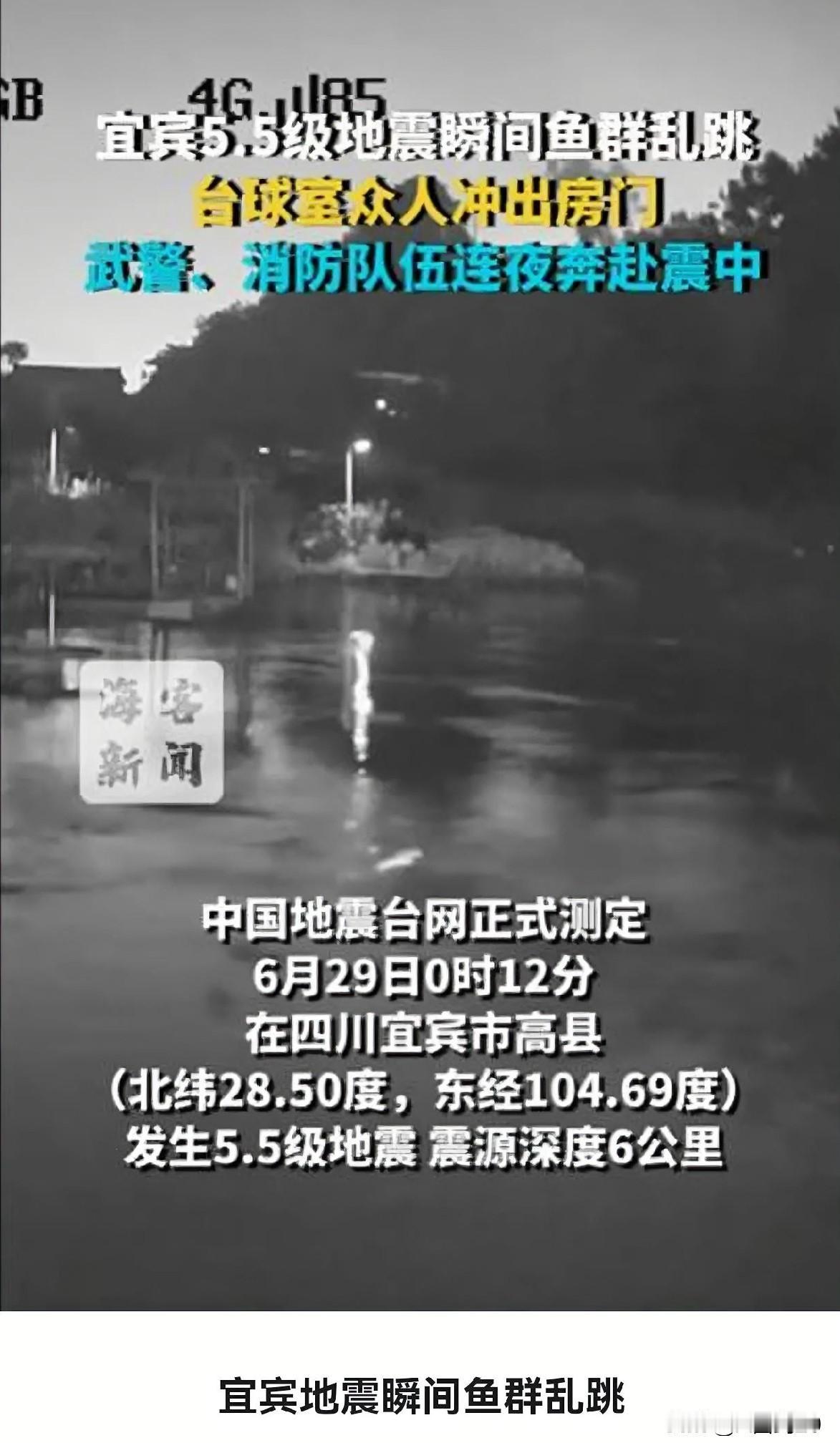 鱼群跃出水面不是地震前兆，科学防灾别靠“民间经验”
宜宾5.5级地震后，鱼塘监控