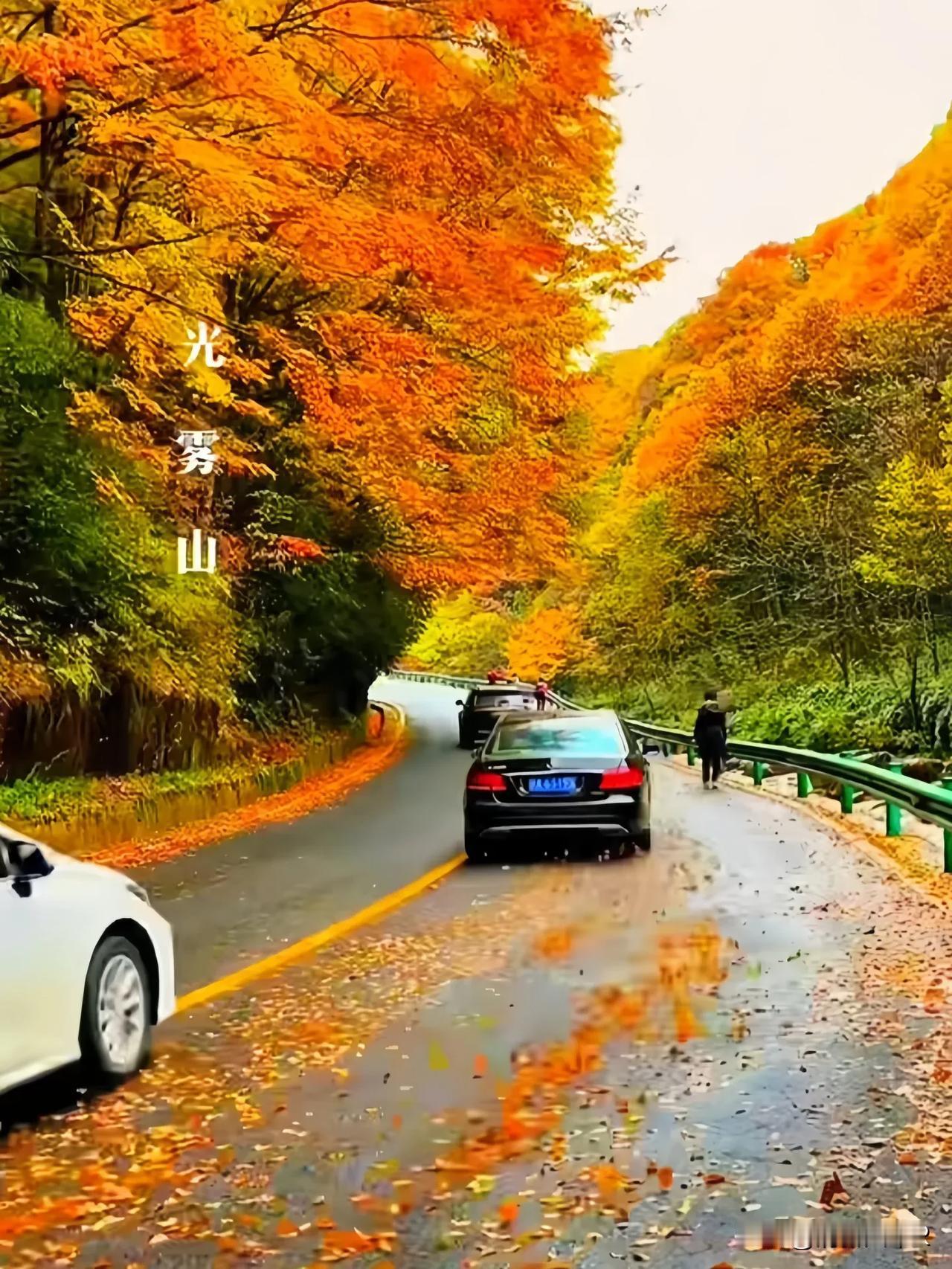 这段话真的很有哲理呢，感觉像是在讲述一种成长和领悟的过程。
🍁鱼那么喜欢水，水