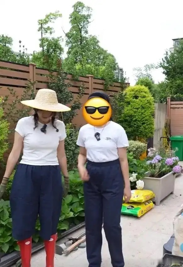 演员高鑫与妻子王一楠改造花园，只能说在上海能买别墅，真的是有钱人中的战斗机 ​​