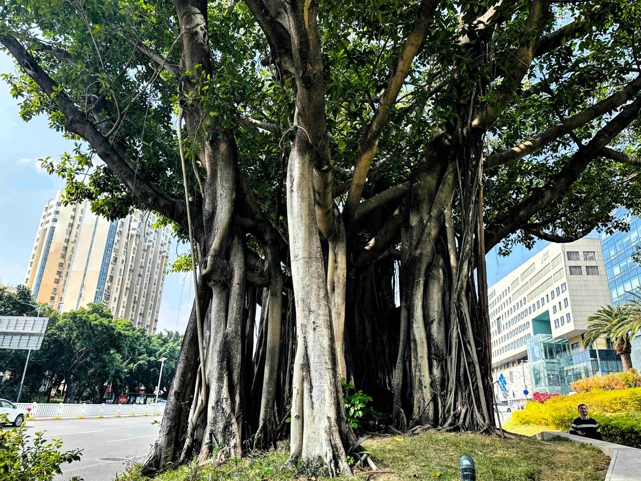 你认同我对这些省市男人性格的总结吗？个人陋见，不喜勿喷，欢迎高见。[大笑][大笑