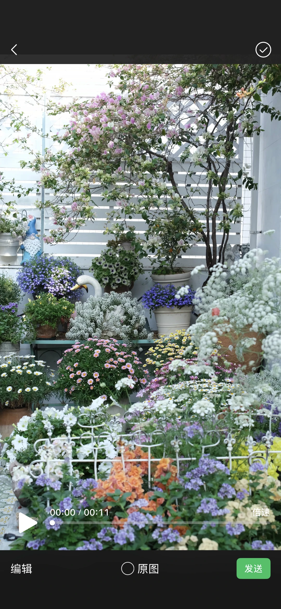 谁懂这一帧的美没有一朵花，从一开始就是花