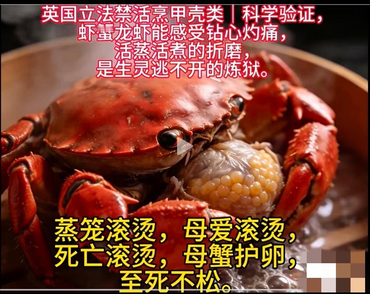 西方蛮夷乡巴佬是到底有多虚伪恶心呢！？