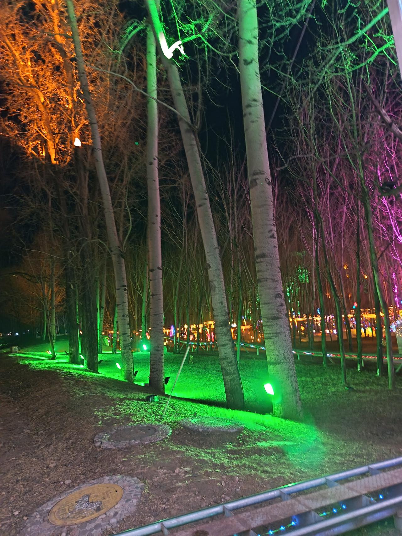 天南地北大拜年