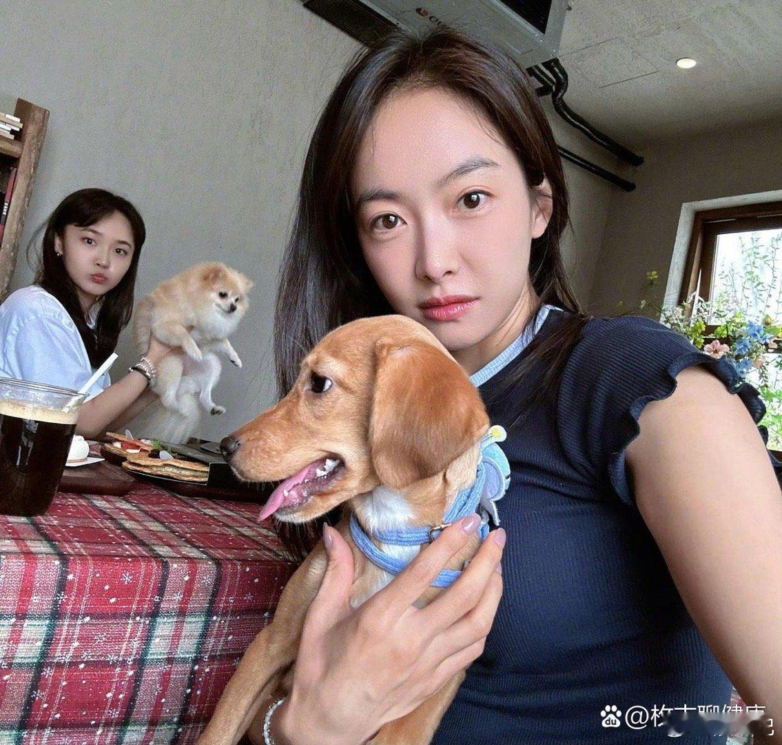 宋茜张佳宁带狗约会，为什么女明星都爱养狗啊，几乎是人手一狗了。 ​​​
