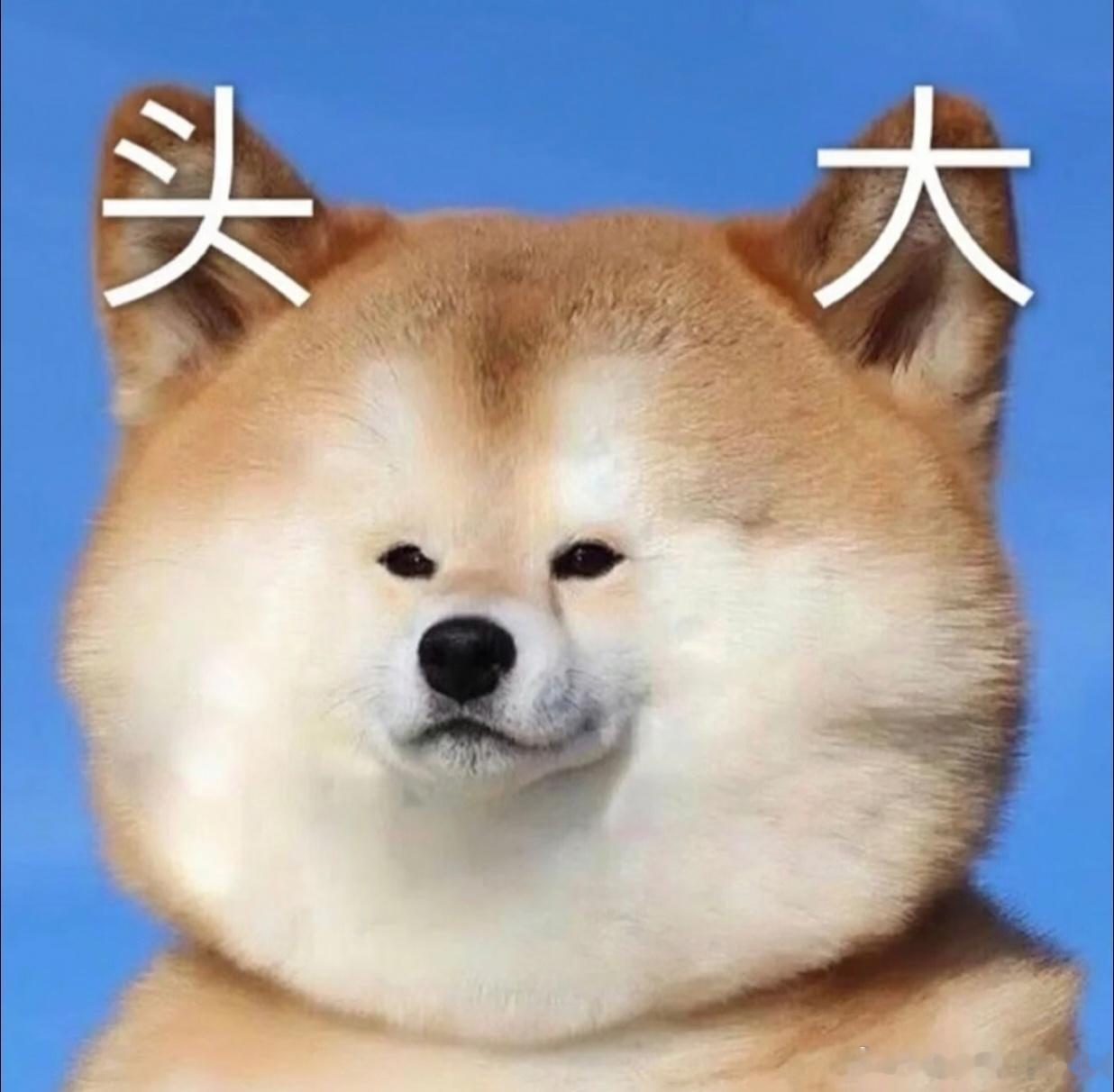 央视曝九极真美传销陷阱这年头还有人信这些😲😲，连能瘦身都是因为勒得吃不下饭，