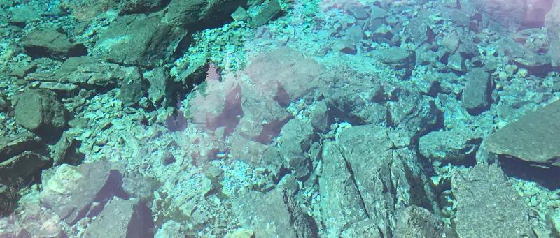 我国科学家的这项发现可太牛了！中国地质调查局广州海洋地质调查局邓义楠团队，在国际