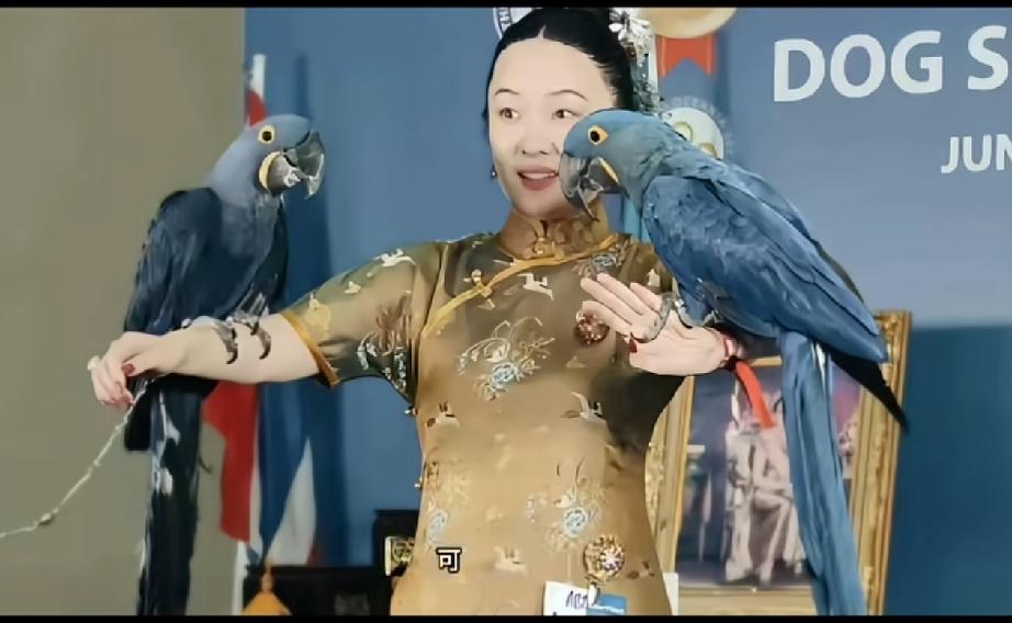 霍思燕这也太牛了！！！

把狗狗训练成冠军就很牛了，
没想到连家里的鹦鹉也被她精