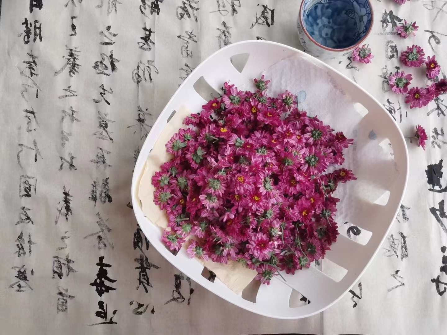 在我们的人生中，妈妈意味着一切：伤心难过时，妈妈是慰藉；消沉失落时，妈妈是希望；