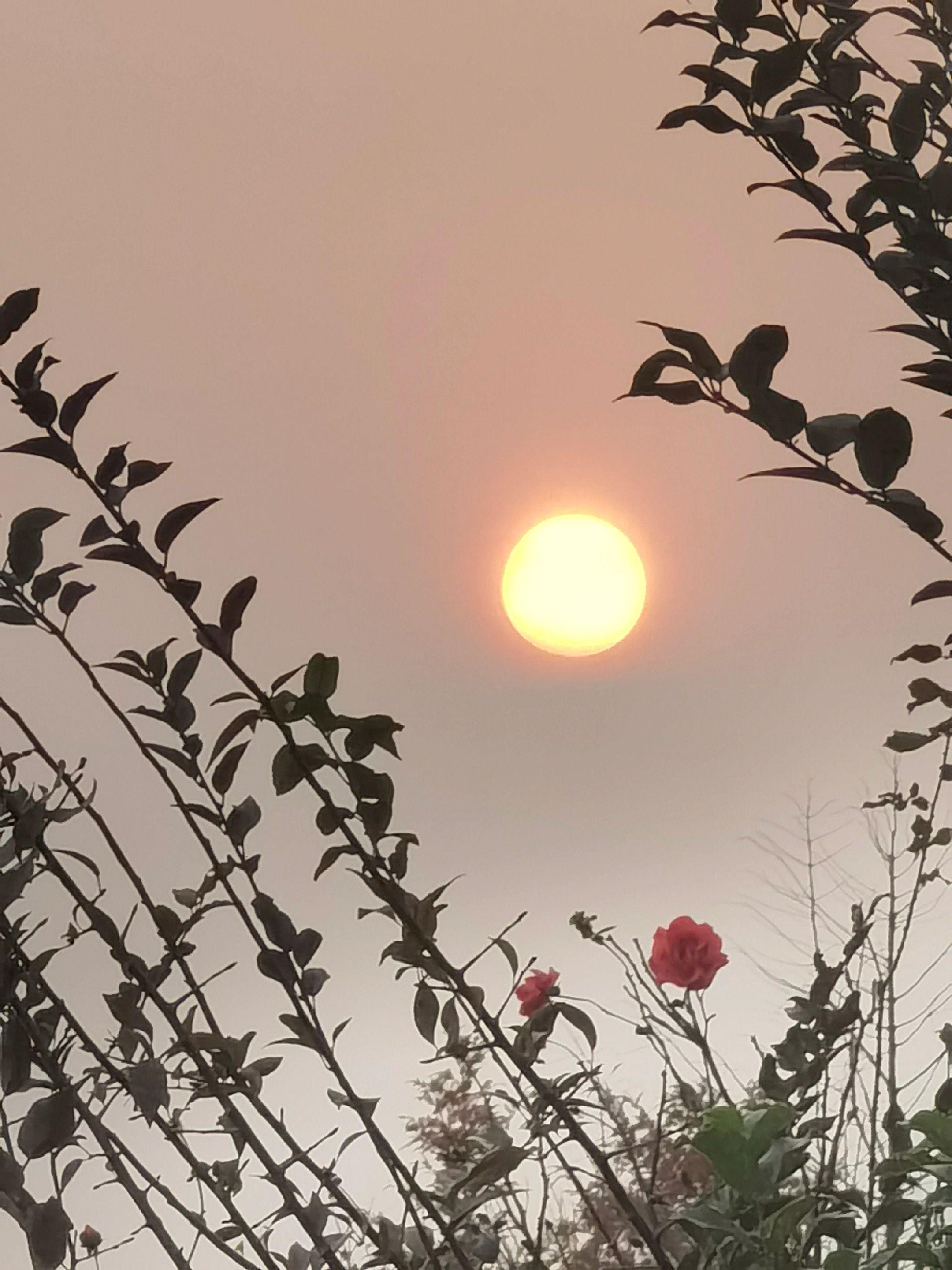 等风起，再一剑封喉！韬光、不是退，养晦、是蓄势待发！沉默的人，往往早就...