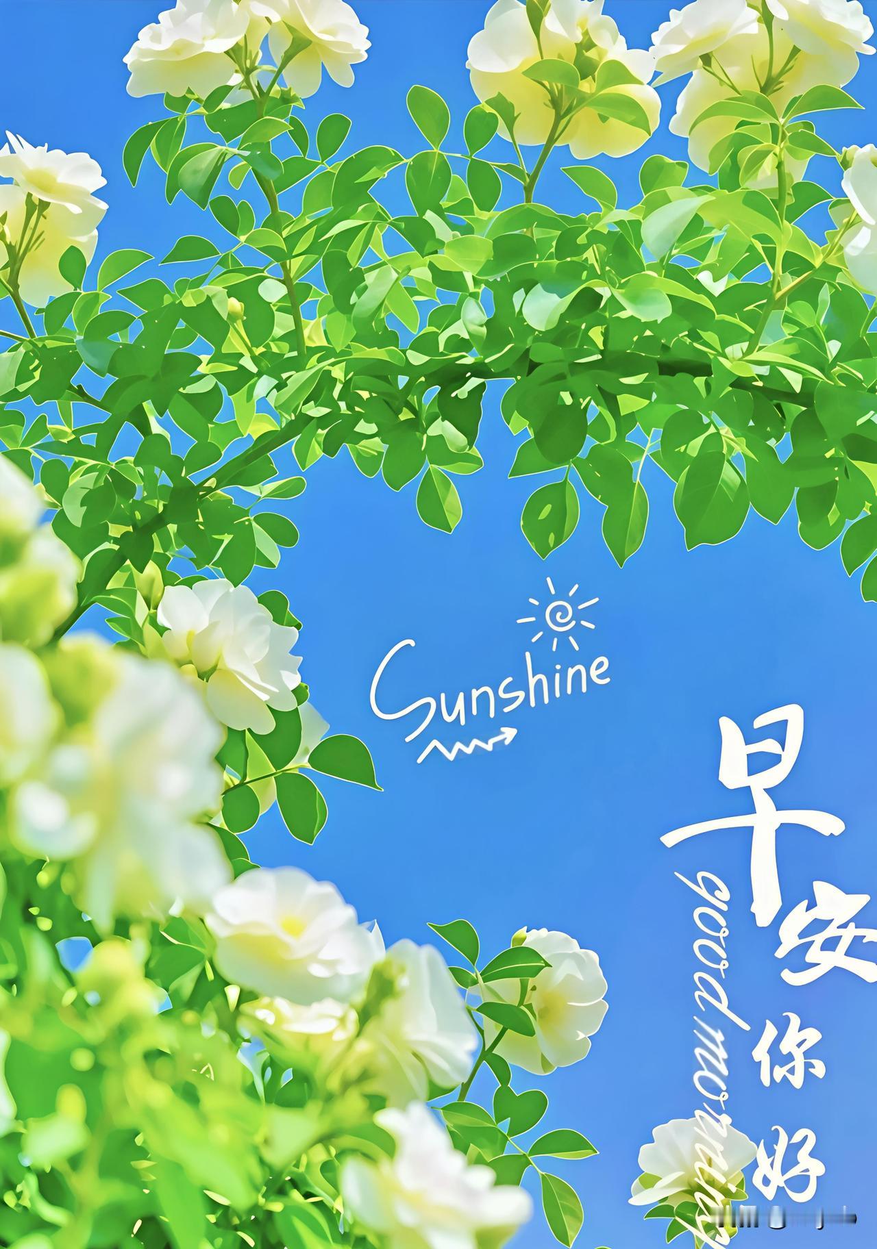 美好的清晨，暖心的问候;
愿新的一日，快乐且温柔。
天地存暖意，人间有温情;
彼