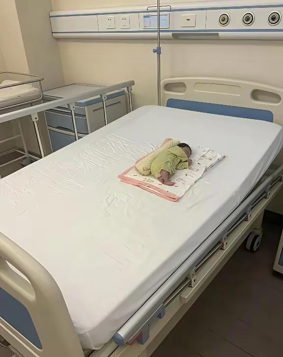 从3kg养到100kg需要花多少钱