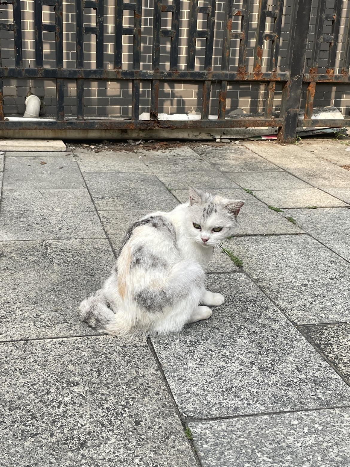 我的今日状态：😁轻松愉快
我这里的天气：🌤️多云