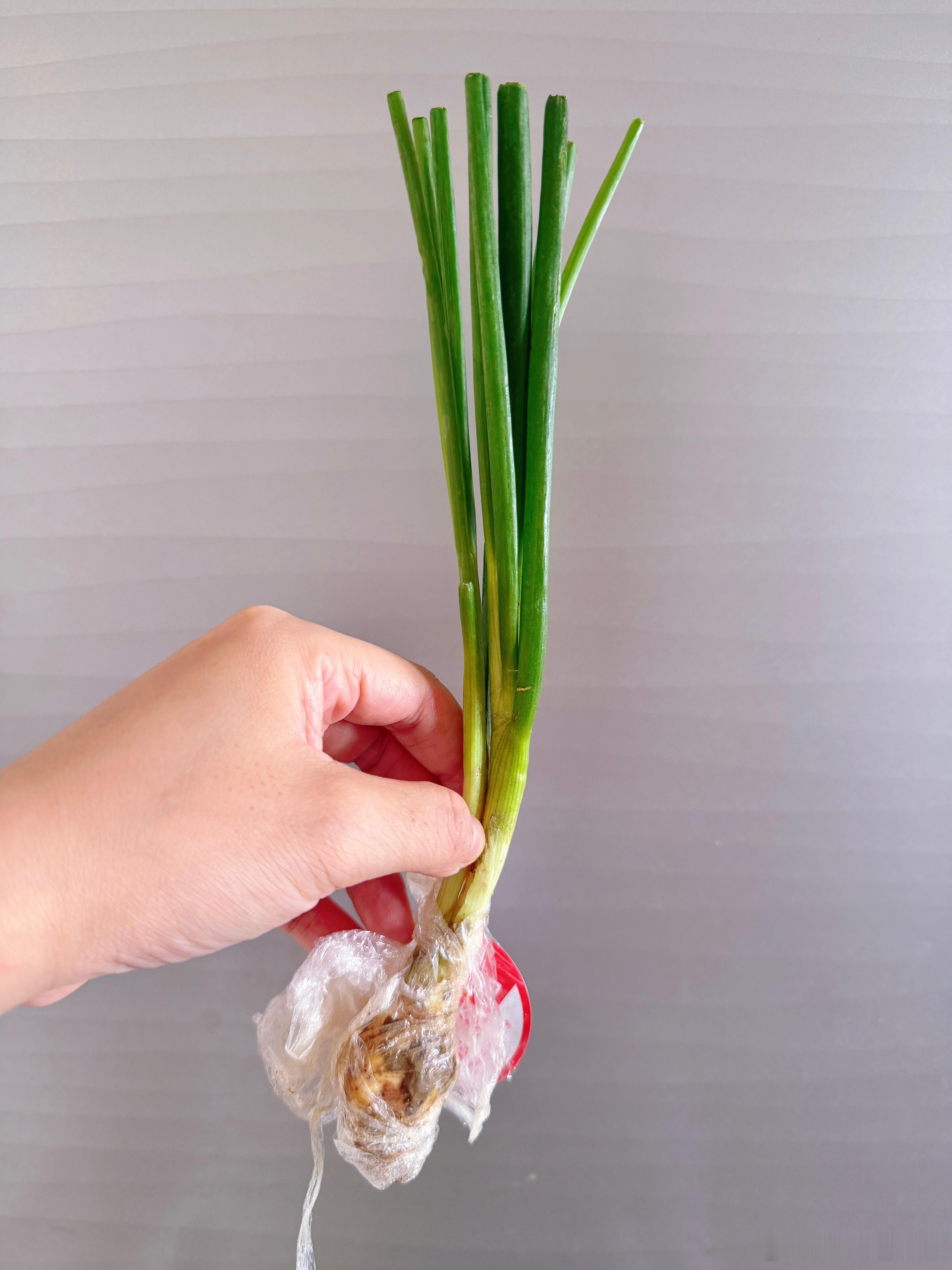 不知道大家有没有葱用不完在冰箱里黄掉的苦恼，之前用了很多办法，包括全都切成葱花冷