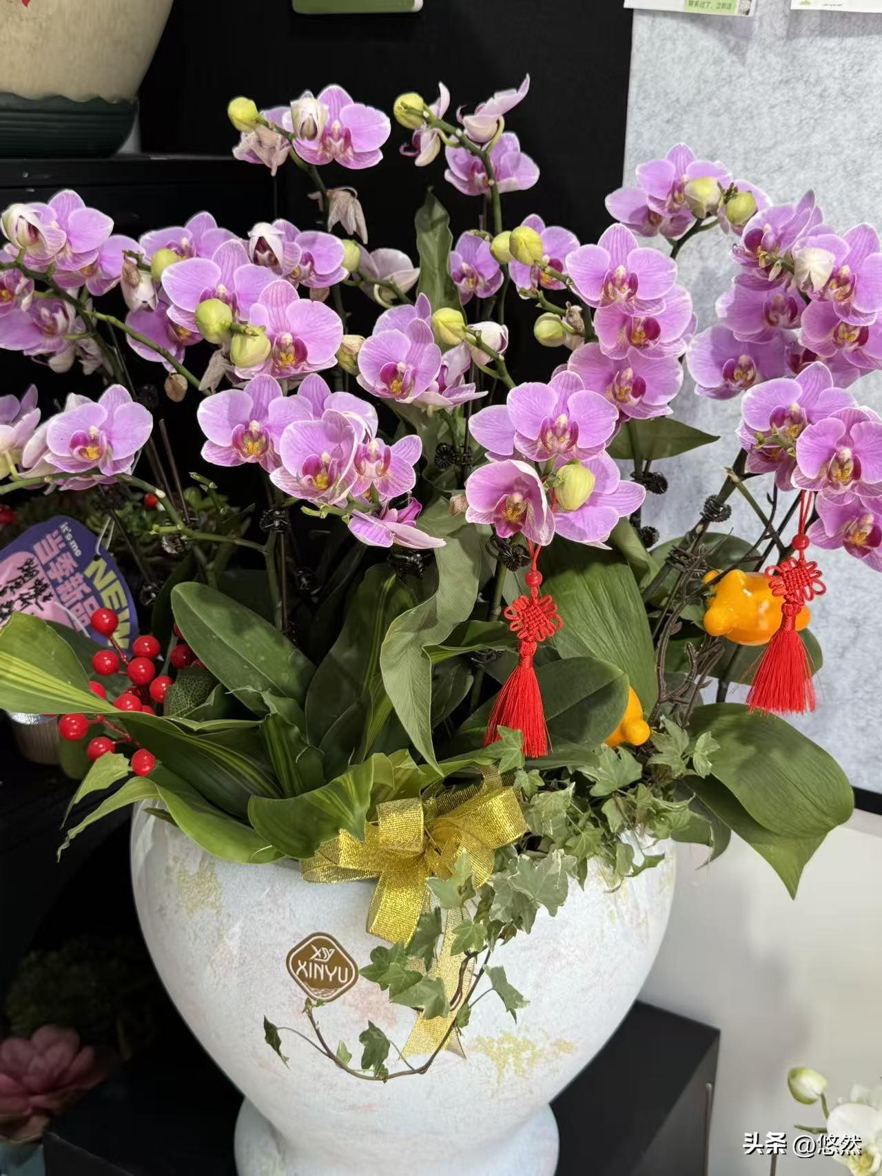 有没有漂亮的花朵图片吗随手一拍分享最美的花