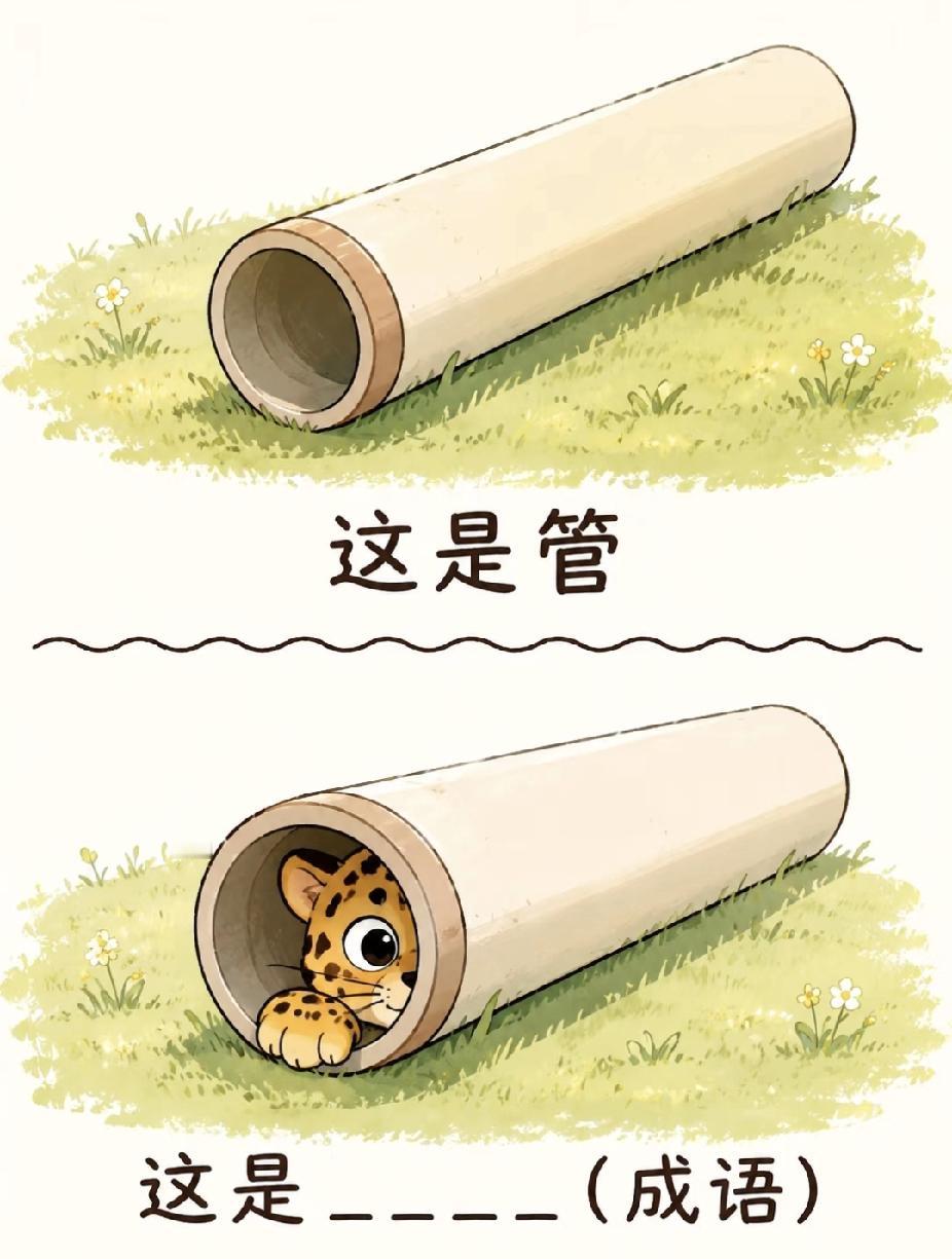  看图猜成语！管子里藏着豹子？