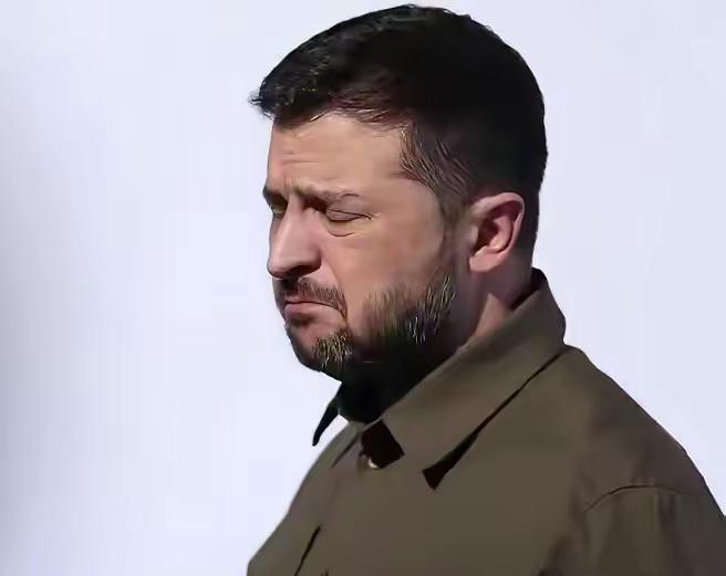 泽连斯基心都凉了！昨天，在匈牙利国会选举中获胜的蒂萨党主席毛焦尔表示:乌克兰加入