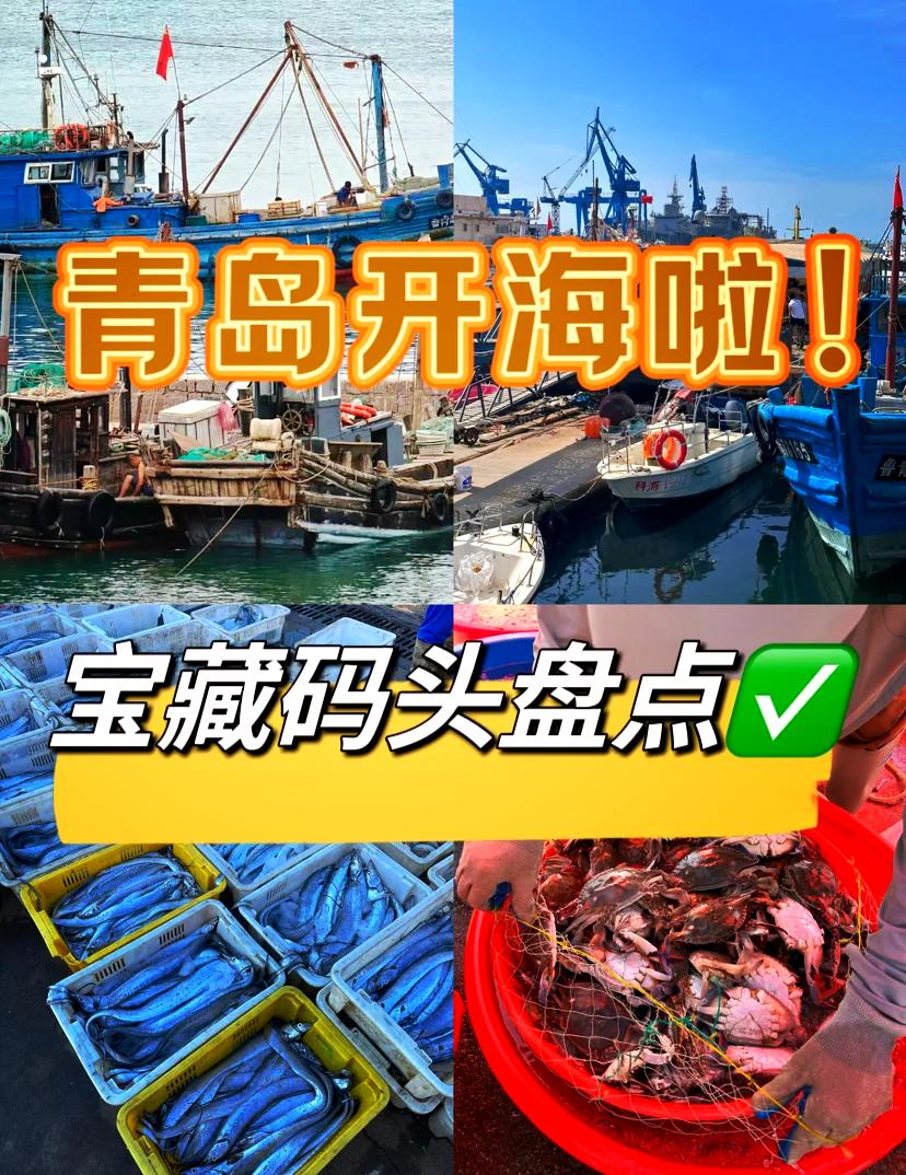 青岛海鲜码头探秘：沙子口渔港螃蟹半价疯抢，红岛码头皮皮虾低至10元一斤引爆全城