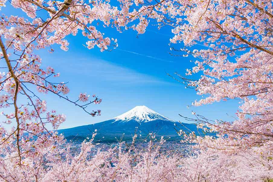 日本旅游旺季中国泼冷水，近2700次赴日航班被取消，日方收入受影响。

4月10