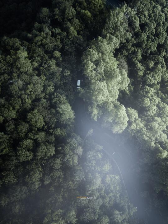 你最好迷路了