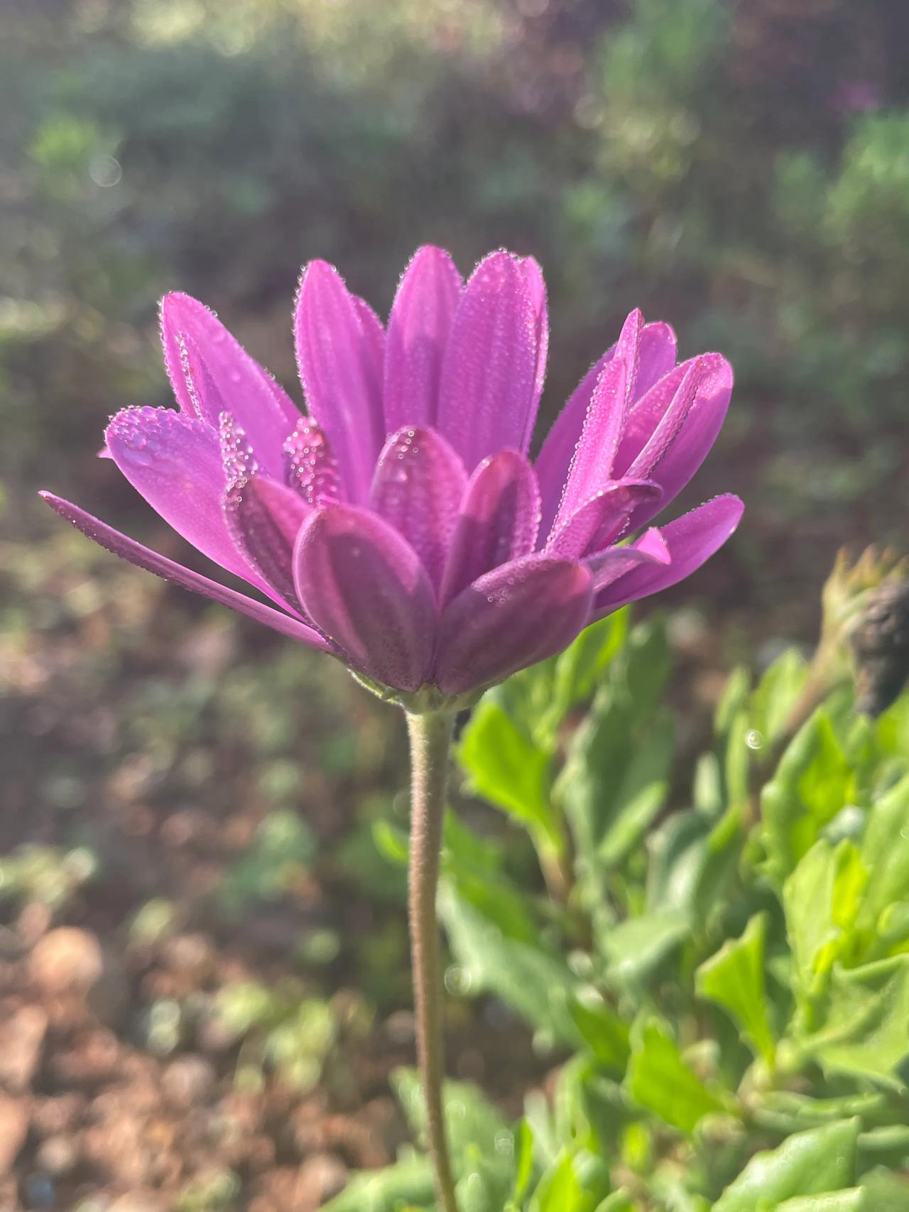 我的个人主页被官方推荐了，快来和我互动吧！
越努力越幸运，分享喜悦。