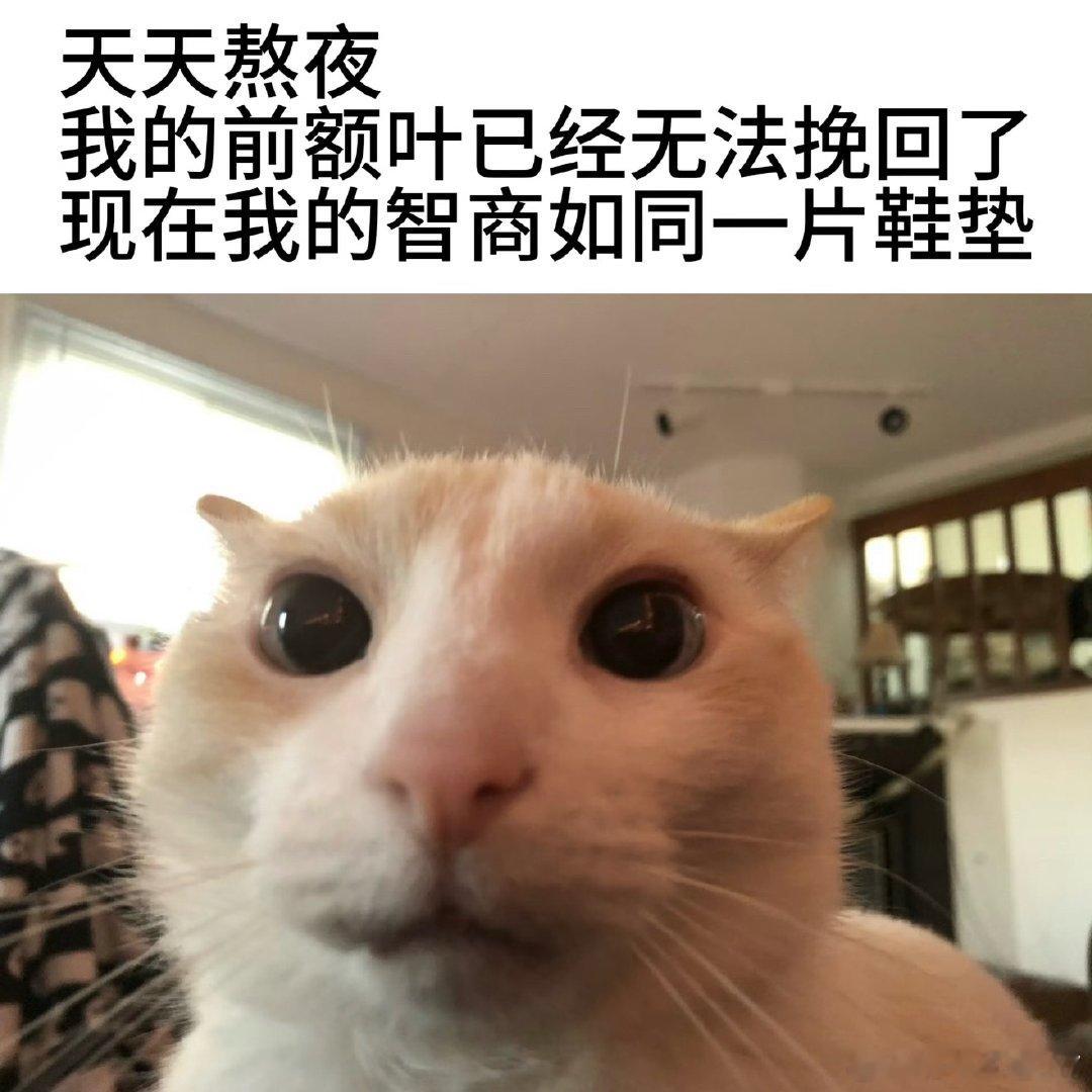 我目前状态就是：无法入眠之物，通宵达旦专家，咖啡因中毒患者，被周公拒之门外的人，