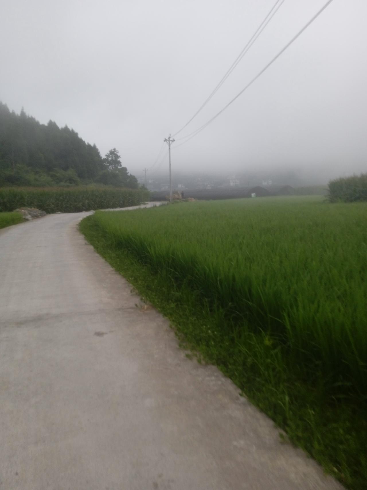 你希望安乐死合法吗？
好死不如赖活着是中国人的传统观念，再难也要好好活着，只要活
