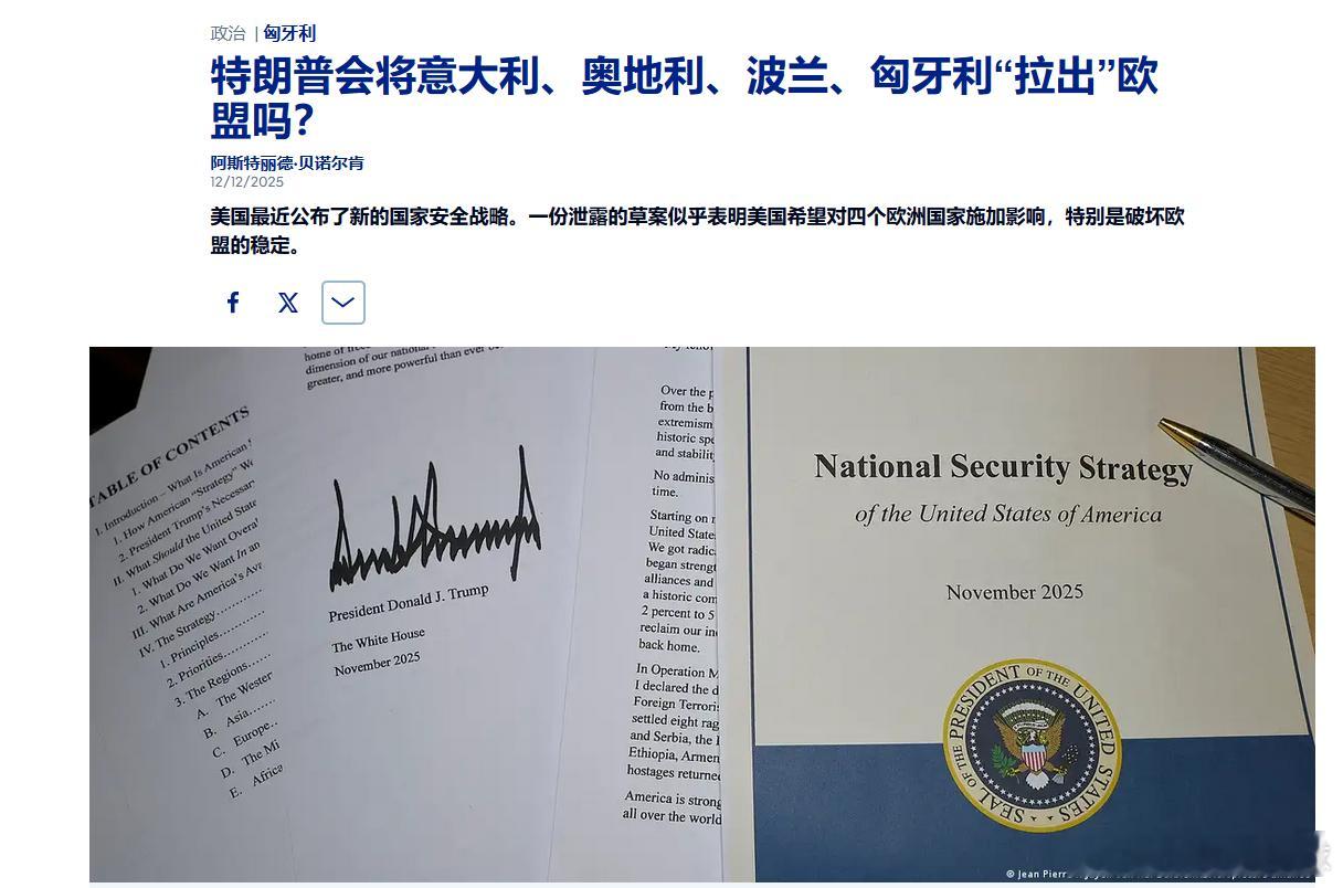 据称是一份名为“Make Europe Great Again”（让欧洲再次伟大